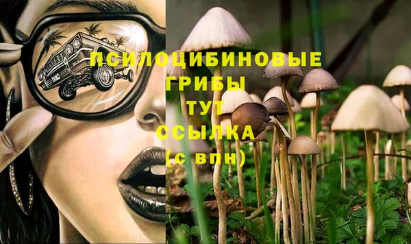 mix Вязьма