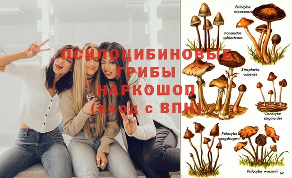 трава Вяземский
