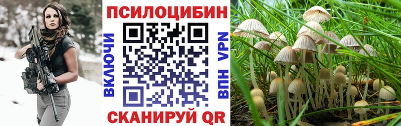 купить   Гремячинск  Галлюциногенные грибы Psilocybine cubensis 